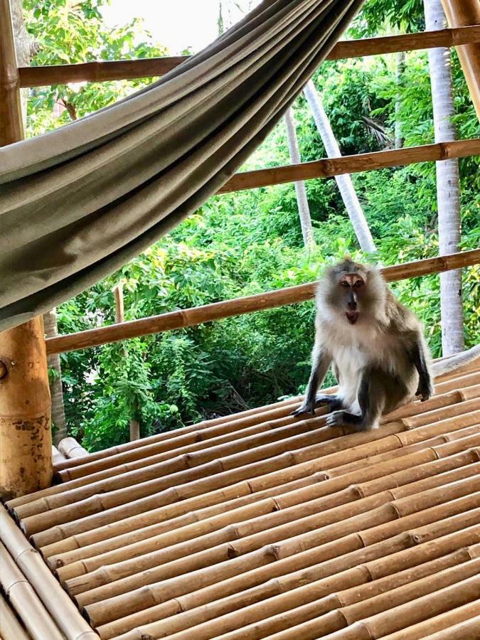 Kalulushi Bungalows Koh Phangan Eksteriør billede